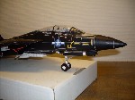 k-F-14 Tomcat (22).JPG

235,72 KB 
640 x 480 
18.03.2009
